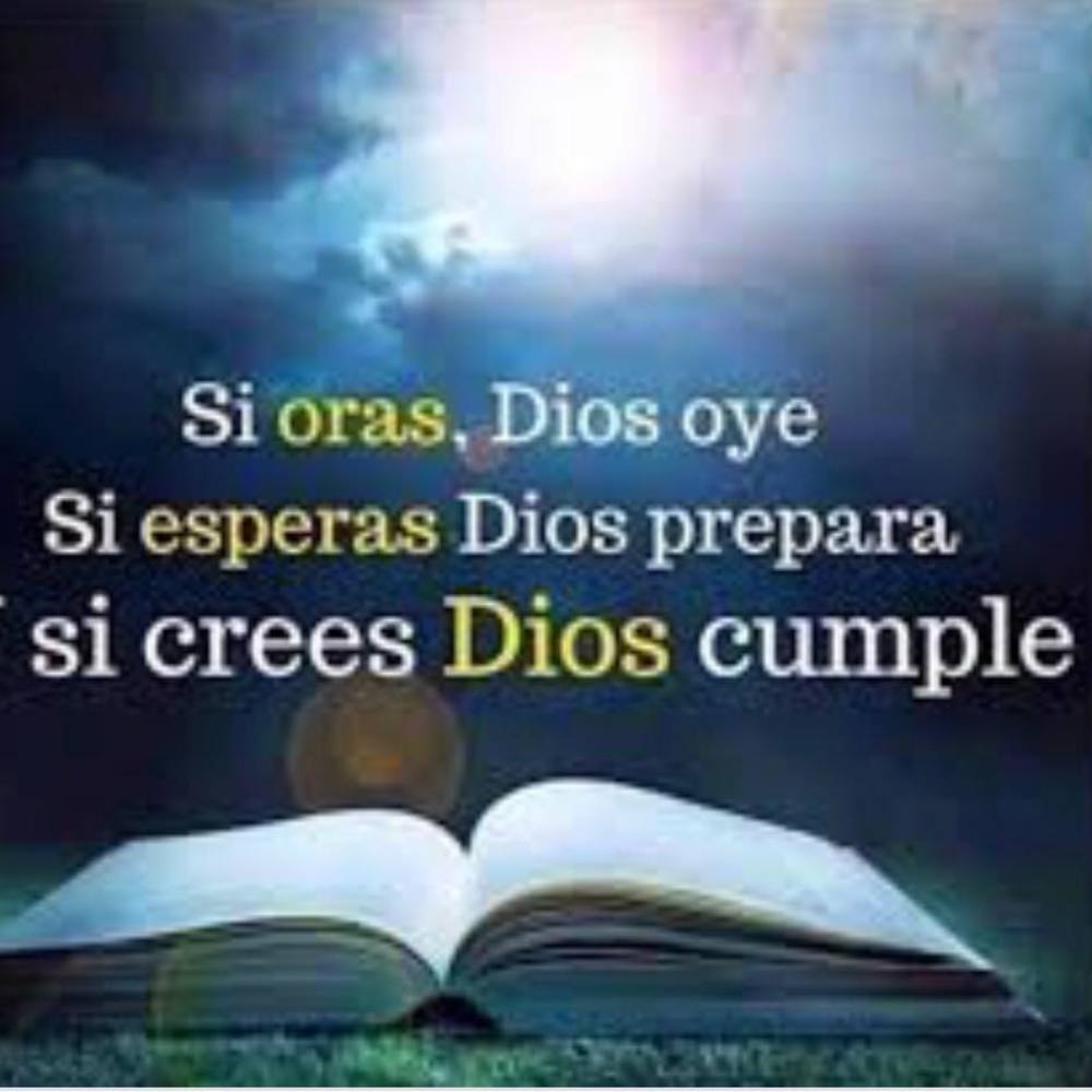 Meet your Posher, Doris